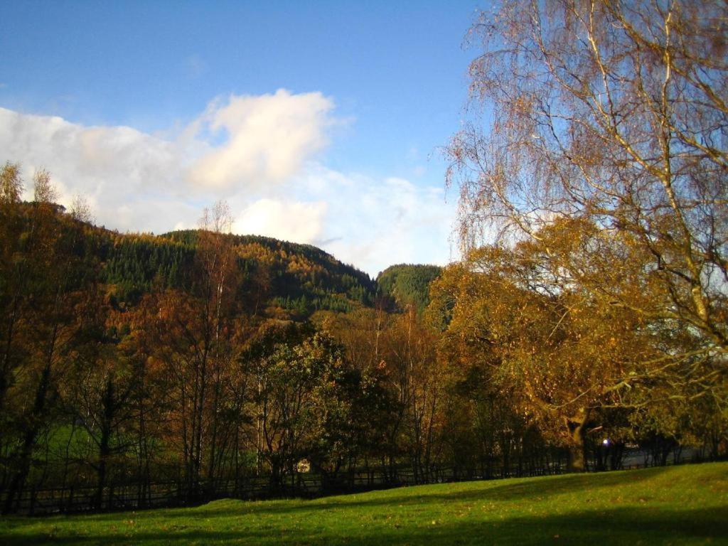 Llety Betws Hotell Exteriör bild